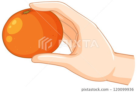 Hand Holding a Fresh Orange Hand Holding a Fresh Orange 120099936