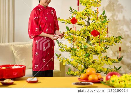 On the background of the living room, a template image with the Tet traditional idea depicts a female dressed in traditional red attire, adjusting to the yellow apricot pot. Tet foods are on the table On the background of the living room, a template image with the Tet traditional idea depicts a female dressed in traditional red attire, adjusting to the yellow apricot pot. Tet foods are on the table 120100014