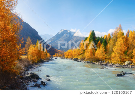 Autumn landscape in Switzerland. Sunrise in the mountains. Fog and fall forest. 120100167