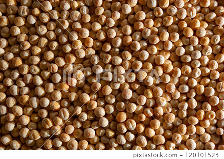 Uncooked Yellow Polished Peas Background Uncooked Yellow Polished Peas Background 120101523