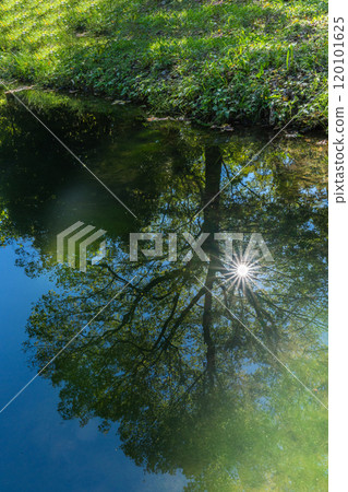 Autumn sunlight reflected on the water surface Autumn sunlight reflected on the water surface 120101625