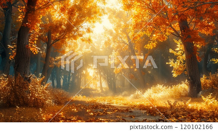 autumn or fall landscape background 120102166