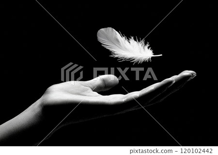 A Delicate Feather Falling into a Hand Against a Dark Background, Symbolizing Hope and Freedom Generative AI 120102442