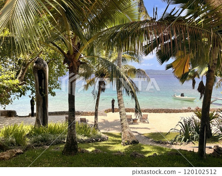 Beach with palm trees 120102512