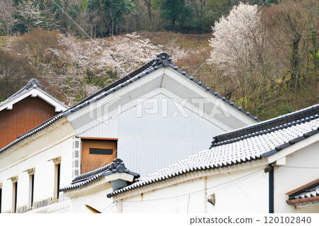 [重要傳統建築群保存地區] 屋影宿 倉庫外的嵐山公園櫻花盛開 岡山縣小田郡屋影町 2 120102840