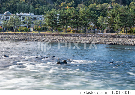 京都府宇治市宇治川急流 120103013