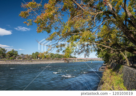秋天的宇治河風景 京都府宇治市 秋天的宇治河風景 京都府宇治市 120103019