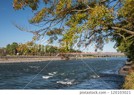 Autumn scenery of the Uji River, Uji City, Kyoto Prefecture Autumn scenery of the Uji River, Uji City, Kyoto Prefecture 120103021