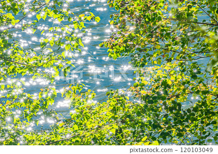 The sparkling Lake Houou at Amagase Dam, Uji City, Kyoto Prefecture 120103049