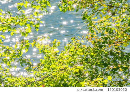 京都府宇治市天瀨水壩湖、波光粼粼的鳳凰湖 120103050