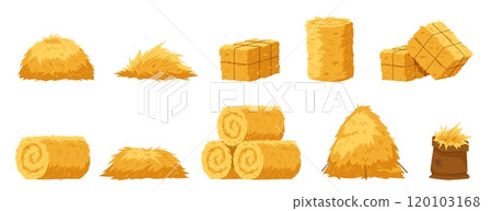 Cartoon hay bales. Agriculture haystacks, blocks, rolls and piles, yellow straw, farm haymow, livestock feed dry grass, wheat stalks, countryside natural landscape element, nowaday vector set Cartoon hay bales. Agriculture haystacks, blocks, rolls and piles, yellow straw, farm haymow, livestock feed dry grass, wheat stalks, countryside natural landscape element, nowaday vector set 120103168