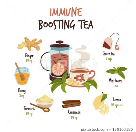 Ginger drink recipe. Immune boosting green tea ingredients, healthy spicy root, cinnamon, honey, lemon and water, beverage with aromatic culinary condiment, traditional medicine, tidy vector concept Ginger drink recipe. Immune boosting green tea ingredients, healthy spicy root, cinnamon, honey, lemon and water, beverage with aromatic culinary condiment, traditional medicine, tidy vector concept 120103190
