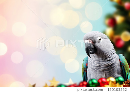 Parrot on blurred festive background with copy space. Christmas holiday theme, with soft bokeh lights and decorated Christmas tree branches. 120103232
