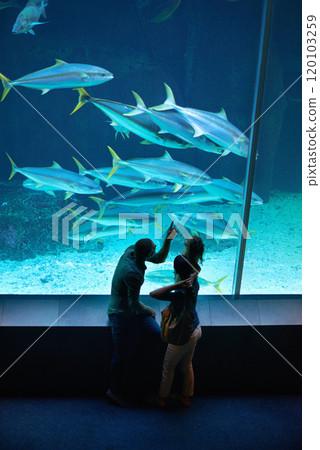 There to see the sea creatures. Shot of a family of three on an outing to the aquarium. 120103259