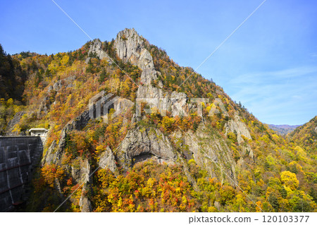北海道定山溪北平峽大壩的秋葉 北海道定山溪北平峽大壩的秋葉 120103377