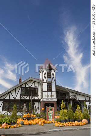 Niseko station in autumn 120103429