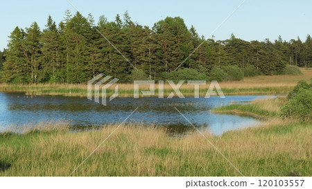 Storsund, nature reserve on eastern Gotland, Sweden. Storsund, nature reserve on eastern Gotland, Sweden. 120103557