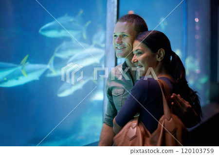 Aquatic affection. Shot of a young couple looking at the fish in an aquarium. 120103759