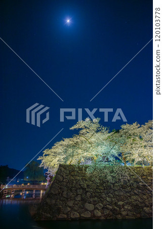 Moonlight and cherry blossoms at night [Matsushiro Castle ruins] 120103778