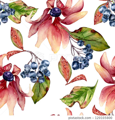 Pink coneflower and black chokeberry colorful watercolor seamless pattern isolated. Colorful autumn leaves, blue berries and pink flowers hand drawn botanical background for textile, wrapping paper. 120103800