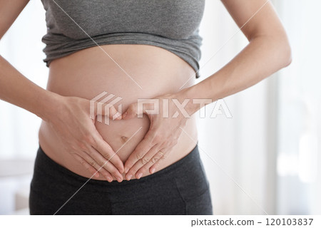 What to expect when youre expecting. Cropped shot of a pregnant woman standing in her home. What to expect when youre expecting. Cropped shot of a pregnant woman standing in her home. 120103837