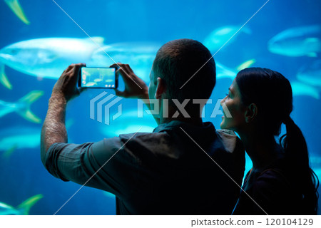 Sea-life snapshots. Shot of a young couple taking a snapshot of the fish in an aquarium. 120104129
