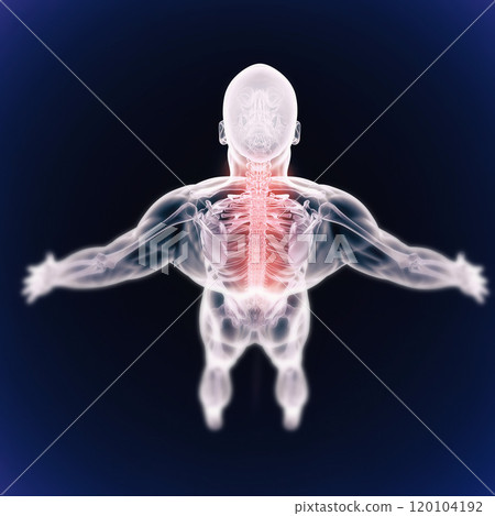 Facing crippling inflammation and pain. A high angle view of a cgi representation of the human skeletal structure. Facing crippling inflammation and pain. A high angle view of a cgi representation of the human skeletal structure. 120104192