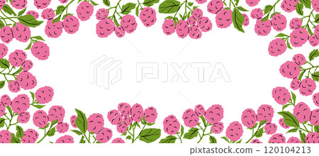 Raspberry Frame Cartoon Colored Vector Illustration Raspberry Frame Cartoon Colored Vector Illustration 120104213