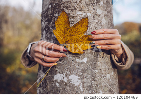 A person holding a yellow leaf close to a tree in a serene autumn forest setting A person holding a yellow leaf close to a tree in a serene autumn forest setting 120104469