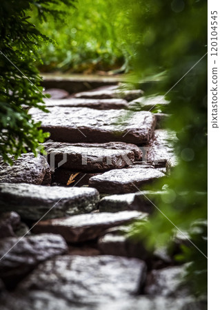 Decorative stone in the backyard 120104545