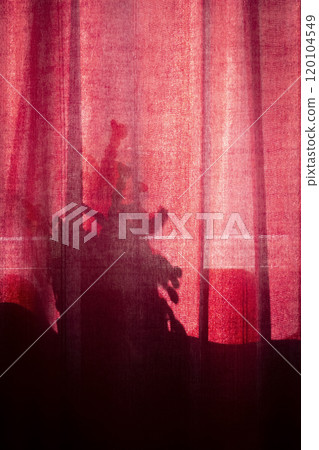 Light through the curtains Light through the curtains 120104549