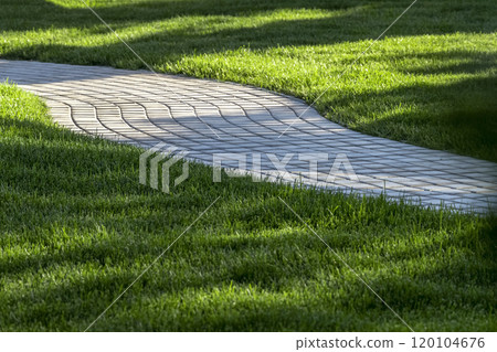 Backyard design elements Backyard design elements 120104676