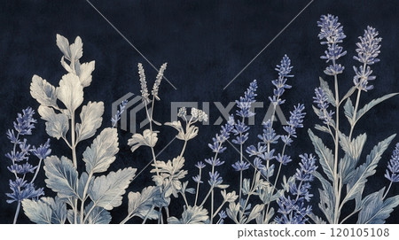 Detailed botanical watercolor illustration on dark 120105108