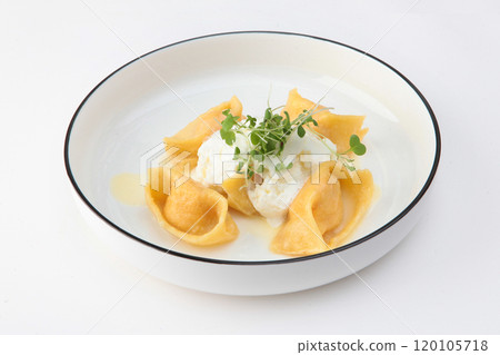 Ravioli with salmon on a white plate. Copy space. Isolated object. Ravioli with salmon on a white plate. Copy space. Isolated object. 120105718