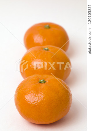 Tangerines on a white background Tangerines on a white background 120105825