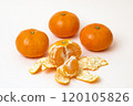 Tangerines on a white background 120105826