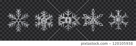 Symmetrical silver snowflakes realistic color icons set 120105938