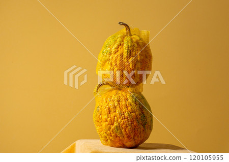 Pumpkin on a yellow background , creative concept . View with copy space Pumpkin on a yellow background , creative concept . View with copy space 120105955