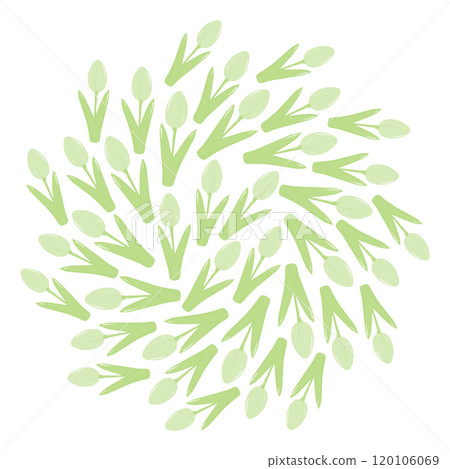 Tulips in trendy Monochrome green Circle background texture in soft shade. Spring greetings backdrop 120106069