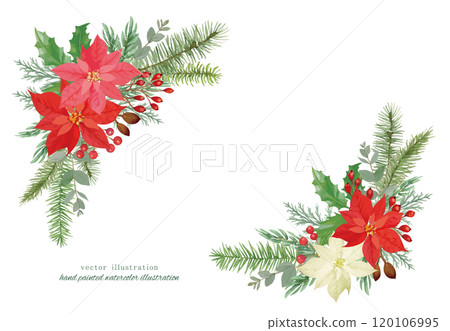 Christmas vector illustration with poinsettia and conifers 120106995