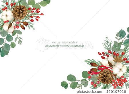 Christmas vector illustration frame with pine cones and cotton flowers Christmas vector illustration frame with pine cones and cotton flowers 120107016