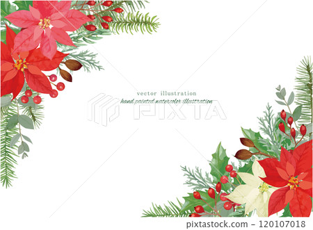 Christmas vector illustration with poinsettia and conifers 120107018