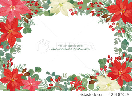 Colorful Christmas frame with poinsettia and holly 120107029