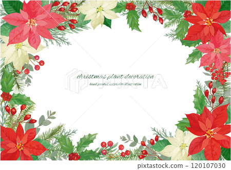 Poinsettia and conifer Christmas frame 120107030