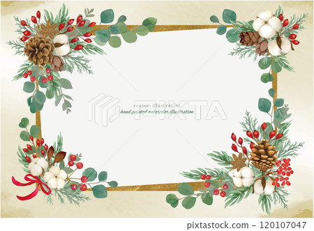 Vector illustration frame of pine cones 120107047