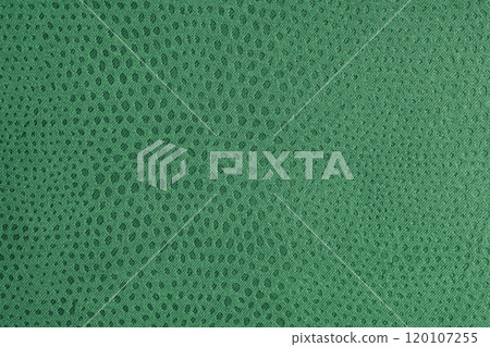 Cloth structure of  jacquard green fabric with abstract shabby spotted texture closeup, macro 120107255
