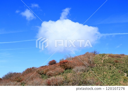 Okawamine: Clouds floating in the autumn sky (Shikoku Karst, Ehime Prefecture) 120107276
