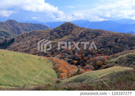 Enjoying the autumn leaves at Okawamine (Shikoku Karst, Ehime Prefecture) 120107277