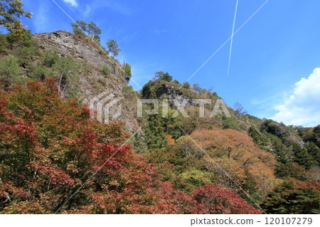 古井屋賞紅葉(愛媛郡熊高原町) 古井屋賞紅葉(愛媛郡熊高原町) 120107279
