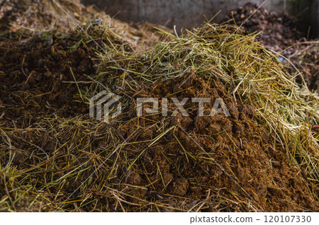 Composting with animal waste Composting with animal waste 120107330